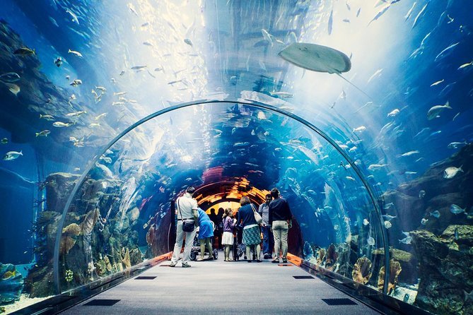 Aquarium and Underwater Zoo